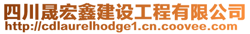 四川晟宏鑫建設(shè)工程有限公司