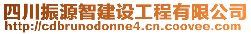 四川振源智建設工程有限公司