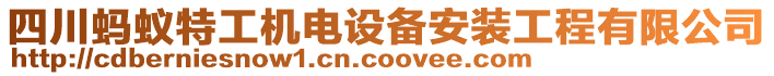 四川螞蟻特工機電設備安裝工程有限公司