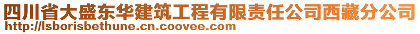 四川省大盛東華建筑工程有限責(zé)任公司西藏分公司