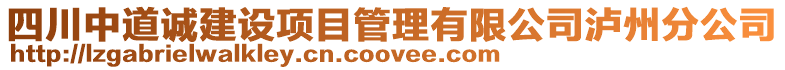 四川中道诚建设项目管理有限公司泸州分公司