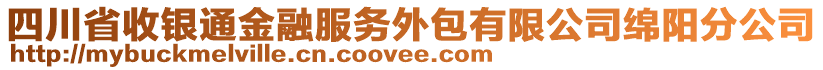 四川省收銀通金融服務外包有限公司綿陽分公司