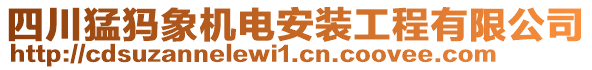 四川猛犸象機(jī)電安裝工程有限公司