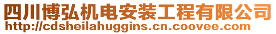 四川博弘機(jī)電安裝工程有限公司