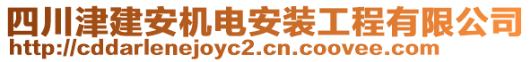 四川津建安機電安裝工程有限公司