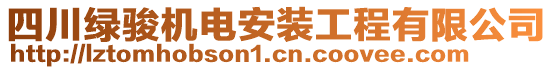 四川綠駿機(jī)電安裝工程有限公司