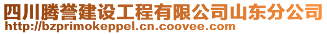 四川騰譽(yù)建設(shè)工程有限公司山東分公司