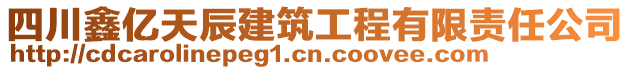 四川鑫億天辰建筑工程有限責(zé)任公司