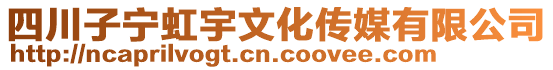 四川子寧虹宇文化傳媒有限公司