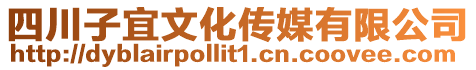 四川子宜文化傳媒有限公司