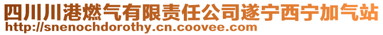 四川川港燃?xì)庥邢挢?zé)任公司遂寧西寧加氣站