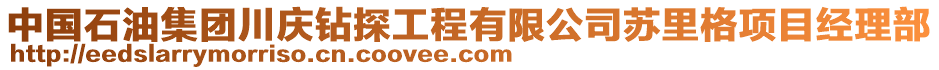 中國石油集團川慶鉆探工程有限公司蘇里格項目經理部