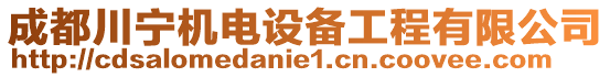 成都川寧機電設備工程有限公司