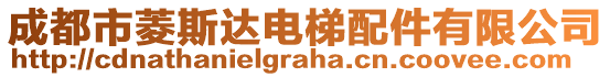 成都市菱斯達電梯配件有限公司