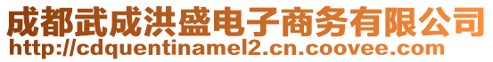 成都武成洪盛電子商務(wù)有限公司