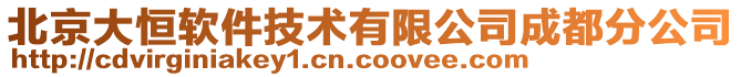 北京大恒軟件技術有限公司成都分公司