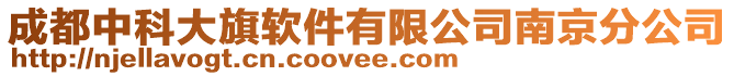 成都中科大旗軟件有限公司南京分公司