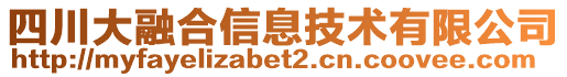 四川大融合信息技術有限公司