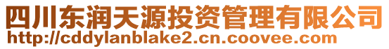 四川東潤天源投資管理有限公司