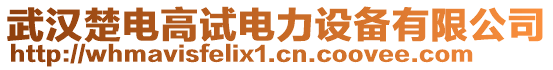 武漢楚電高試電力設(shè)備有限公司