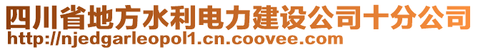 四川省地方水利電力建設(shè)公司十分公司