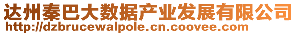 達(dá)州秦巴大數(shù)據(jù)產(chǎn)業(yè)發(fā)展有限公司