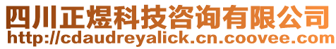 四川正煜科技咨詢有限公司