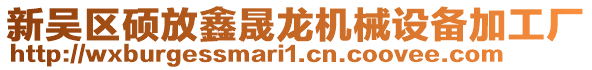 新吳區(qū)碩放鑫晟龍機械設(shè)備加工廠