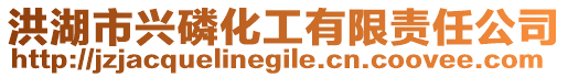 洪湖市興磷化工有限責任公司