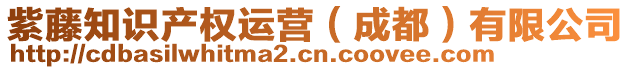 紫藤知識(shí)產(chǎn)權(quán)運(yùn)營(yíng)（成都）有限公司