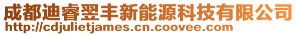 成都迪睿翌豐新能源科技有限公司