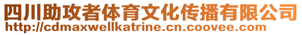 四川助攻者體育文化傳播有限公司