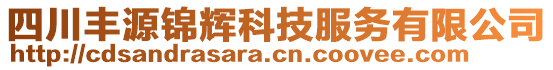 四川豐源錦輝科技服務(wù)有限公司