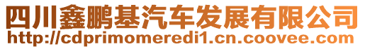 四川鑫鵬基汽車發(fā)展有限公司