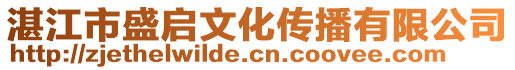 湛江市盛啟文化傳播有限公司