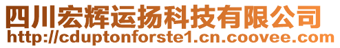 四川宏輝運揚科技有限公司