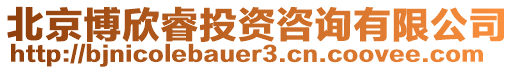 北京博欣睿投資咨詢有限公司