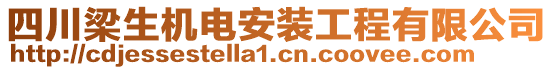 四川梁生機(jī)電安裝工程有限公司