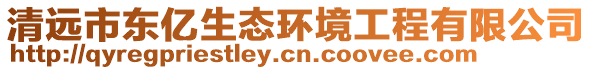 清遠(yuǎn)市東億生態(tài)環(huán)境工程有限公司