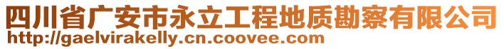 四川省廣安市永立工程地質(zhì)勘察有限公司