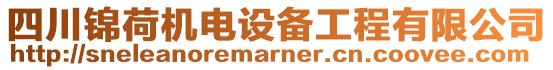 四川錦荷機電設(shè)備工程有限公司