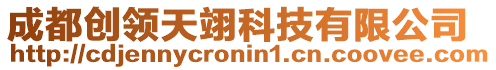 成都創(chuàng)領(lǐng)天翊科技有限公司