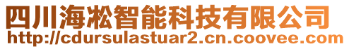 四川海凇智能科技有限公司