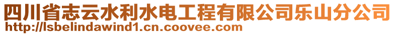 四川省志云水利水電工程有限公司樂山分公司