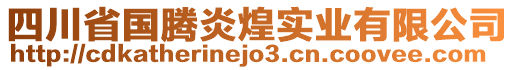 四川省国腾炎煌实业有限公司