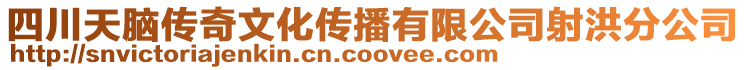 四川天腦傳奇文化傳播有限公司射洪分公司