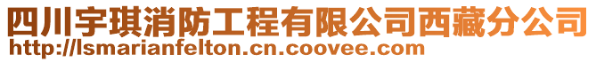 四川宇琪消防工程有限公司西藏分公司