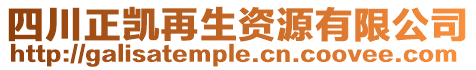 四川正凱再生資源有限公司