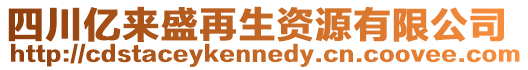 四川億來盛再生資源有限公司