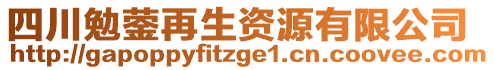 四川勉鎣再生資源有限公司